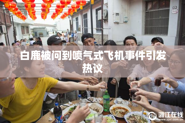 白鹿被问到喷气式飞机事件引发热议