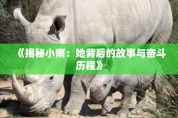 《揭秘小南：她背后的故事与奋斗历程》