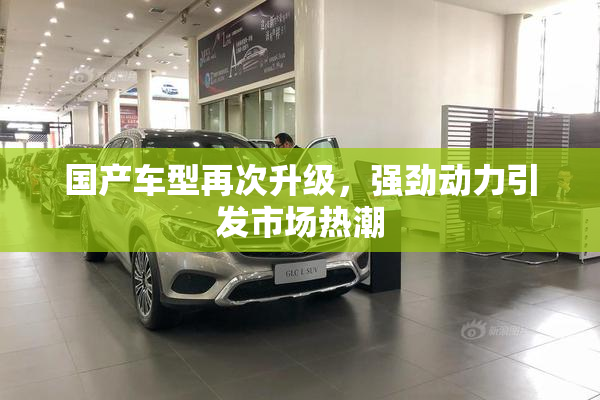 国产车型再次升级，强劲动力引发市场热潮
