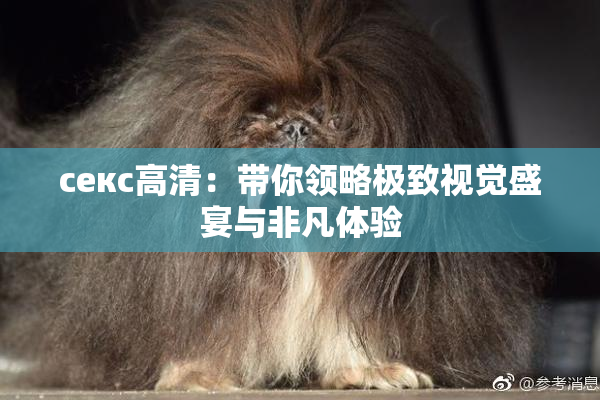 ceкс高清：带你领略极致视觉盛宴与非凡体验