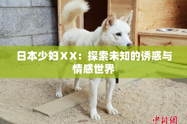 日本少妇ⅩX：探索未知的诱惑与情感世界