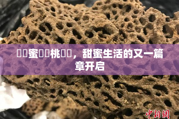 ❌‌蜜❌‌桃❌‌，甜蜜生活的又一篇章开启