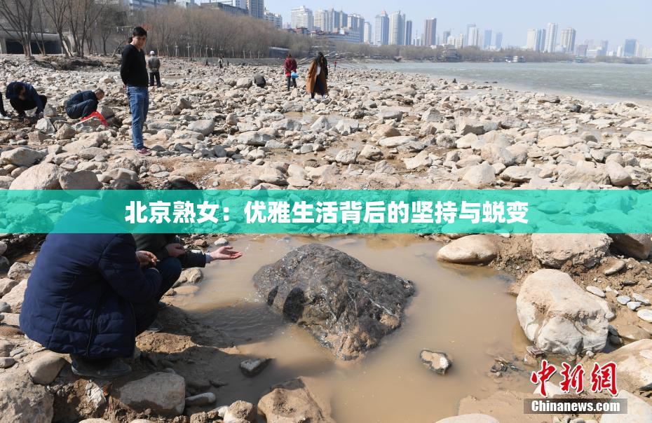 北京熟女：优雅生活背后的坚持与蜕变
