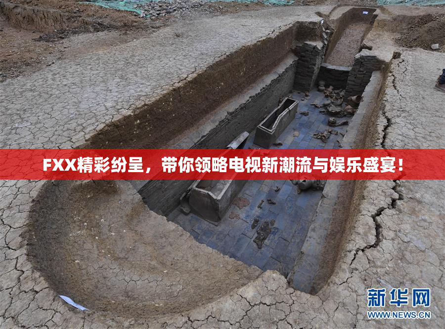 FXX精彩纷呈，带你领略电视新潮流与娱乐盛宴！