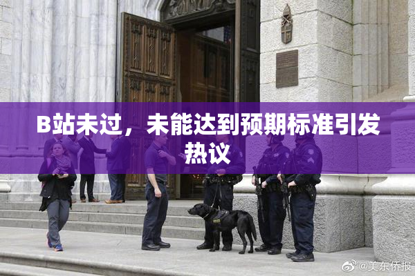 B站未过，未能达到预期标准引发热议
