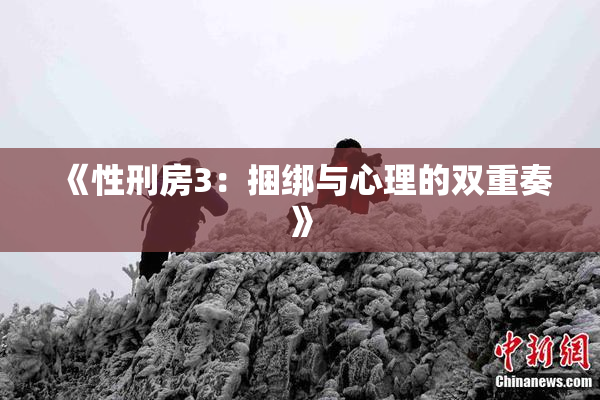 《性刑房3：捆绑与心理的双重奏》