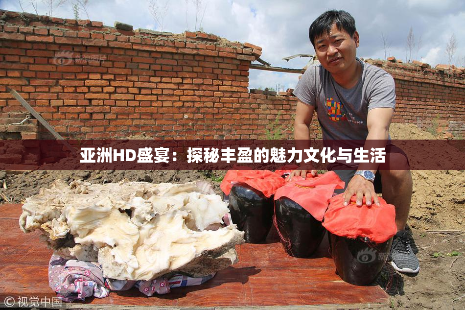亚洲HD盛宴：探秘丰盈的魅力文化与生活