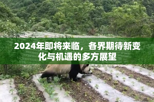 2024年即将来临，各界期待新变化与机遇的多方展望