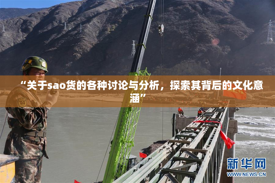 “关于sao货的各种讨论与分析，探索其背后的文化意涵”