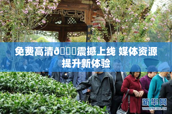 免费高清🔞震撼上线 媒体资源提升新体验
