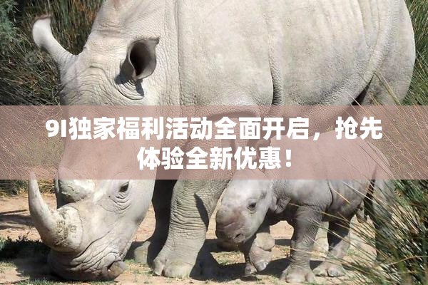 9I独家福利活动全面开启，抢先体验全新优惠！