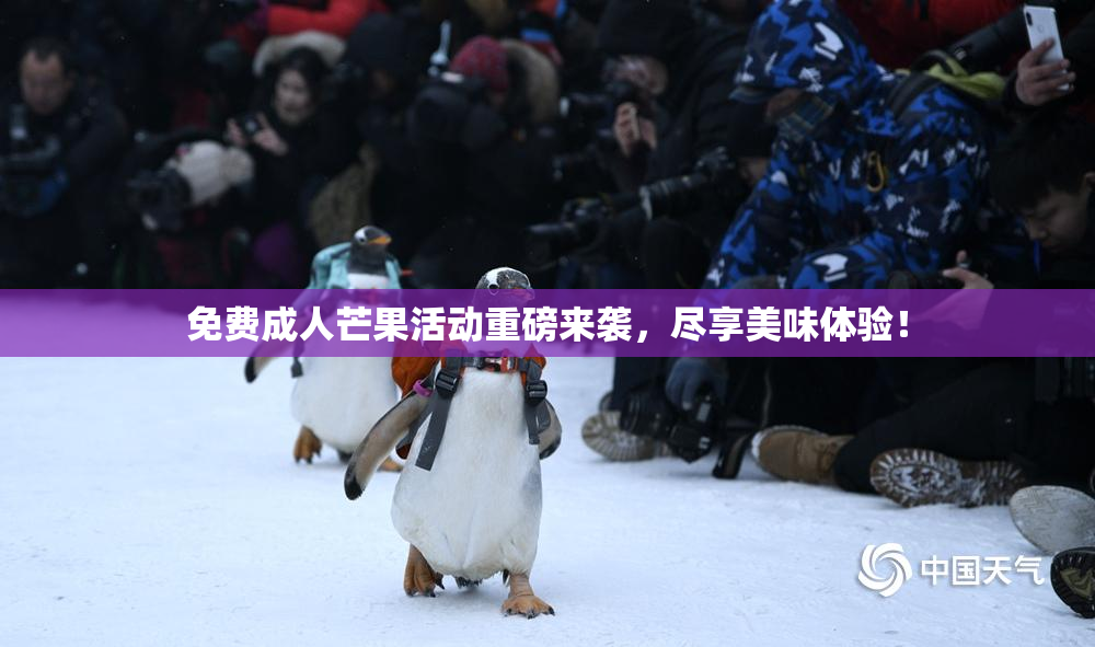 免费成人芒果活动重磅来袭，尽享美味体验！