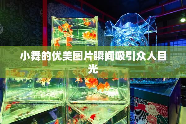 小舞的优美图片瞬间吸引众人目光