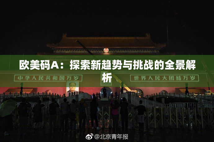 欧美码A：探索新趋势与挑战的全景解析