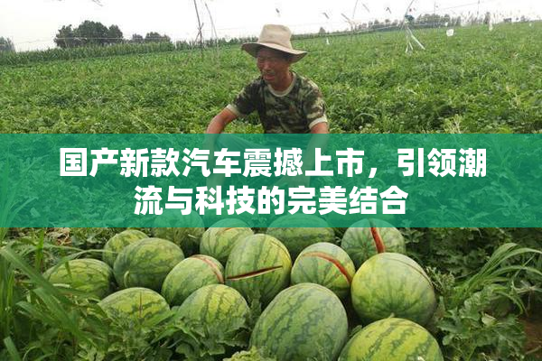 国产新款汽车震撼上市，引领潮流与科技的完美结合