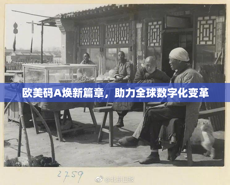 欧美码A焕新篇章，助力全球数字化变革
