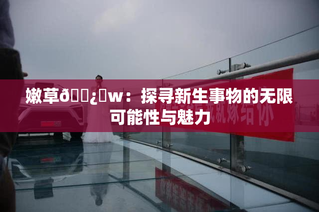 嫩草🌿‌w：探寻新生事物的无限可能性与魅力