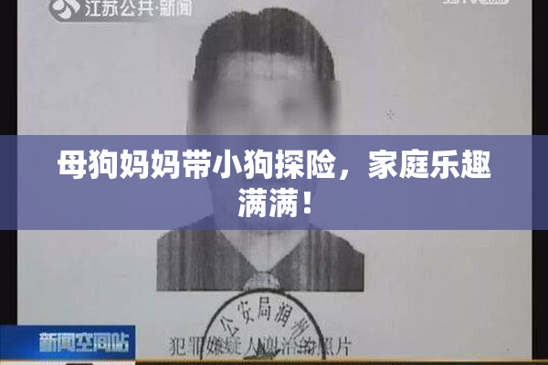 母狗妈妈带小狗探险，家庭乐趣满满！