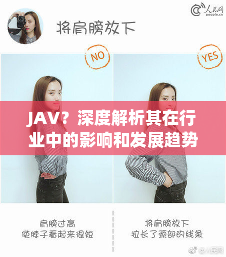JAV？深度解析其在行业中的影响和发展趋势
