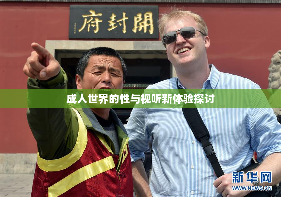 成人世界的性与视听新体验探讨