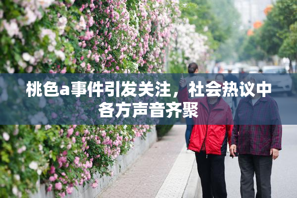 桃色a事件引发关注，社会热议中各方声音齐聚