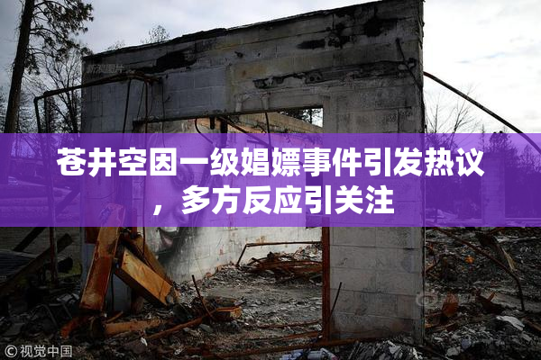 苍井空因一级娼嫖事件引发热议，多方反应引关注