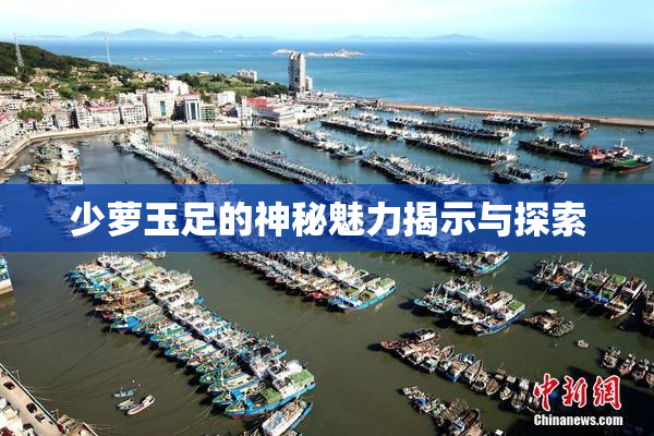少萝玉足的神秘魅力揭示与探索