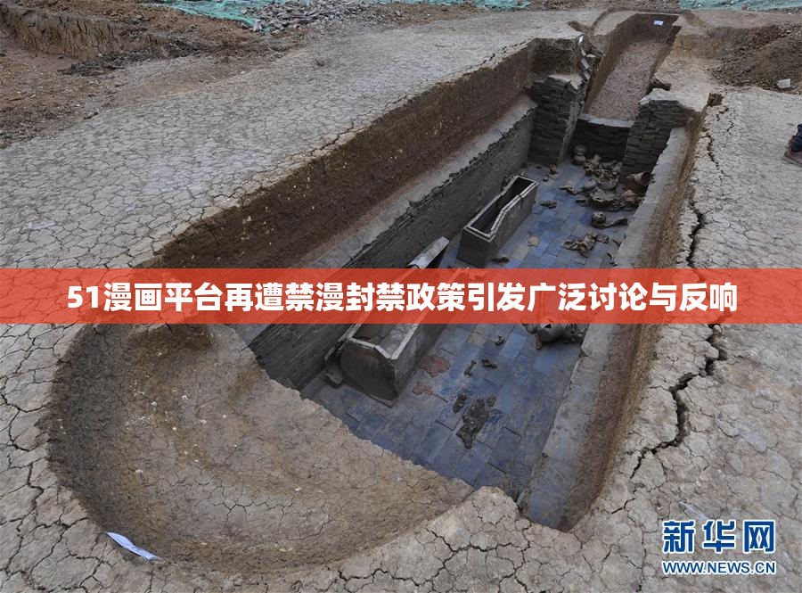 51漫画平台再遭禁漫封禁政策引发广泛讨论与反响
