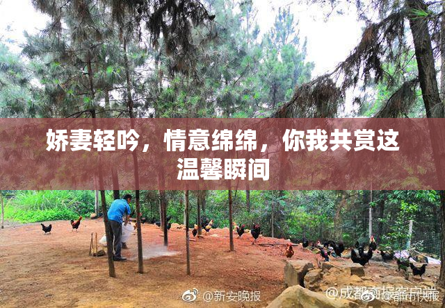 娇妻轻吟，情意绵绵，你我共赏这温馨瞬间