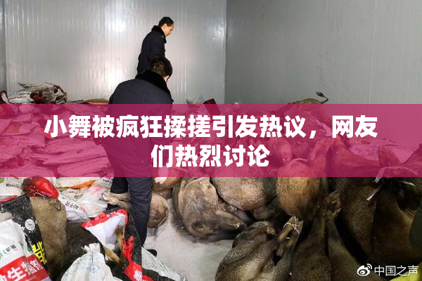 小舞被疯狂揉搓引发热议，网友们热烈讨论