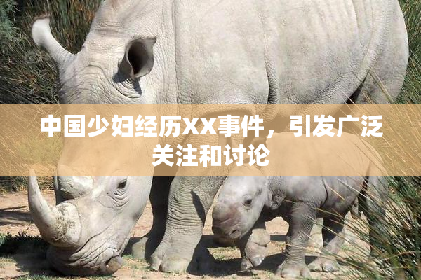 中国少妇经历XX事件，引发广泛关注和讨论