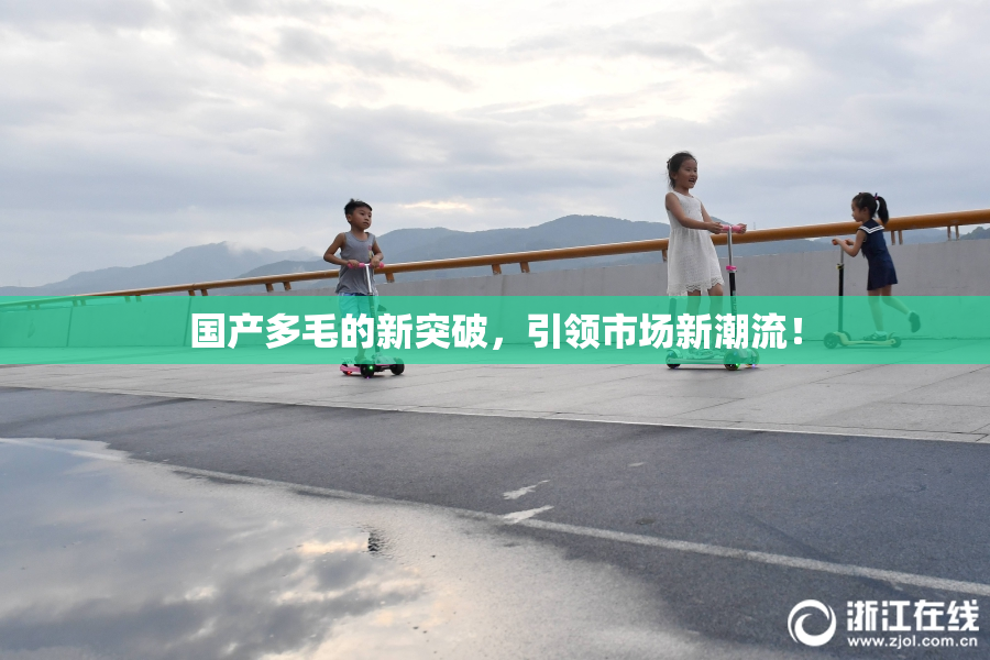 国产多毛的新突破，引领市场新潮流！