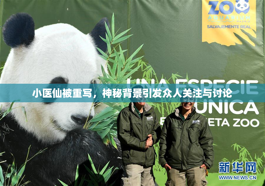 小医仙被重写，神秘背景引发众人关注与讨论