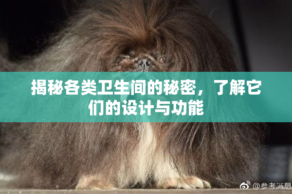 揭秘各类卫生间的秘密，了解它们的设计与功能