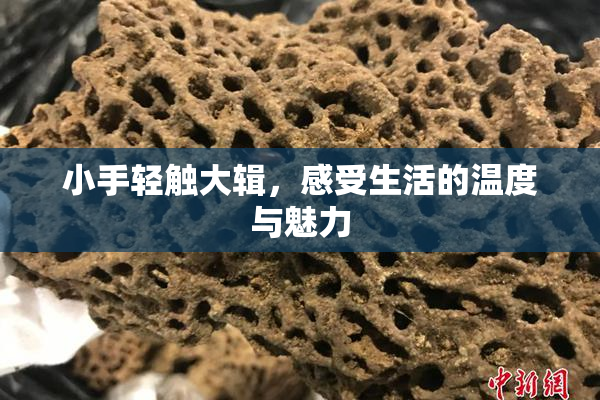 小手轻触大辑，感受生活的温度与魅力