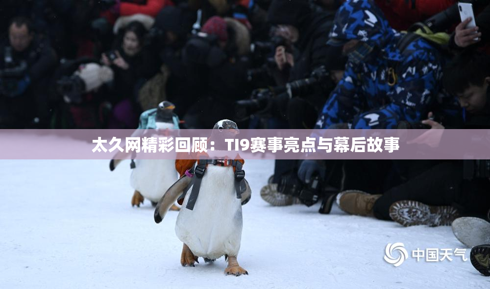 太久网精彩回顾：TI9赛事亮点与幕后故事