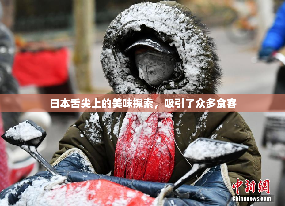 日本舌尖上的美味探索，吸引了众多食客