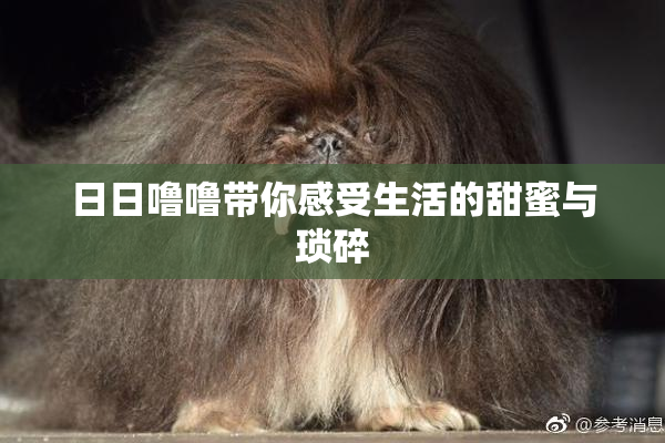 日日噜噜带你感受生活的甜蜜与琐碎
