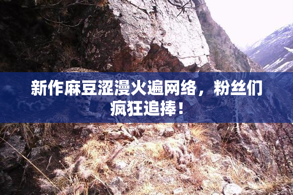 新作麻豆涩漫火遍网络，粉丝们疯狂追捧！