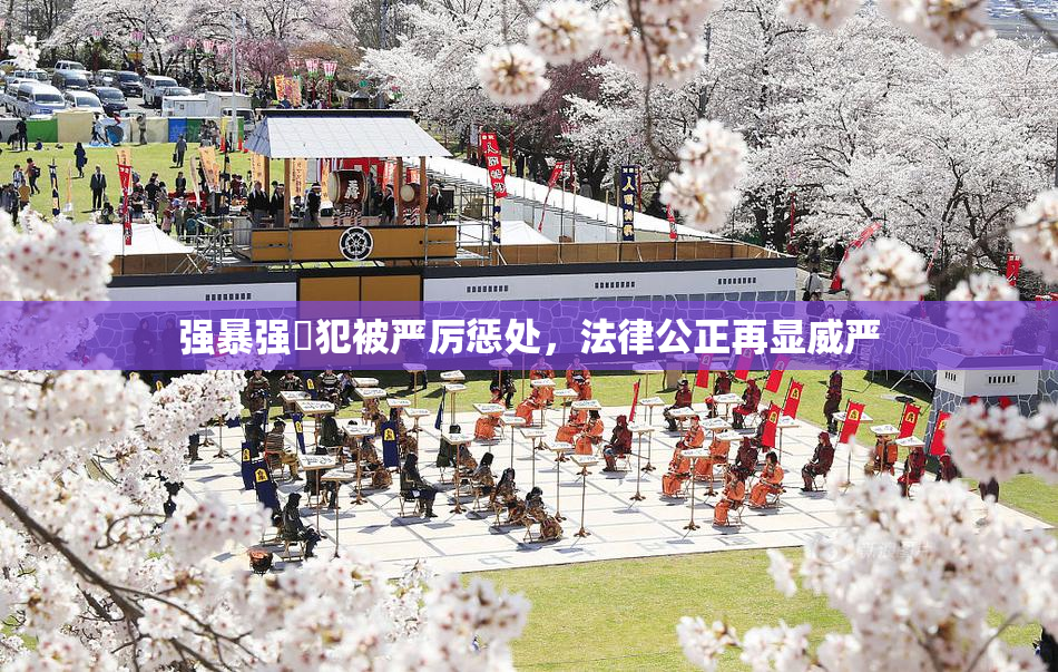 强暴强姦犯被严厉惩处，法律公正再显威严