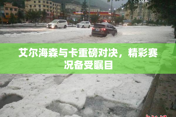 艾尔海森与卡重磅对决，精彩赛况备受瞩目