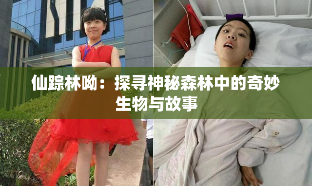 仙踪林呦：探寻神秘森林中的奇妙生物与故事
