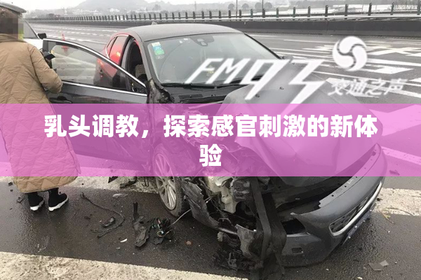 乳头调教，探索感官刺激的新体验