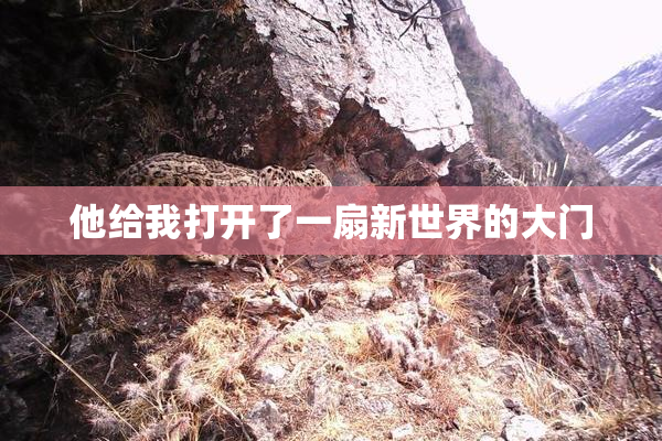 他给我打开了一扇新世界的大门