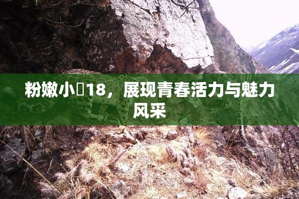 粉嫩小泬18，展现青春活力与魅力风采