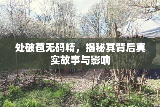 处破苞无码精，揭秘其背后真实故事与影响
