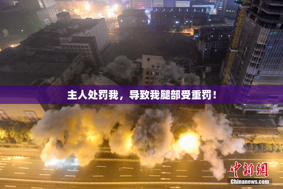 主人处罚我，导致我腿部受重罚！