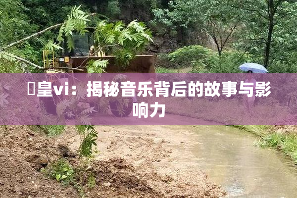 嘼皇vi：揭秘音乐背后的故事与影响力