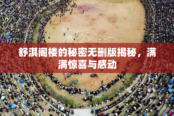 舒淇阁楼的秘密无删版揭秘，满满惊喜与感动