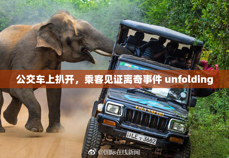 公交车上扒开，乘客见证离奇事件 unfolding